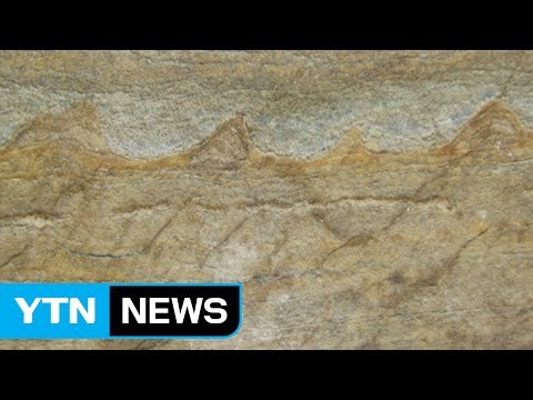 지구에서 가장 오래된 37억 년 전 화석 발견 / YTN (Yes! Top News)