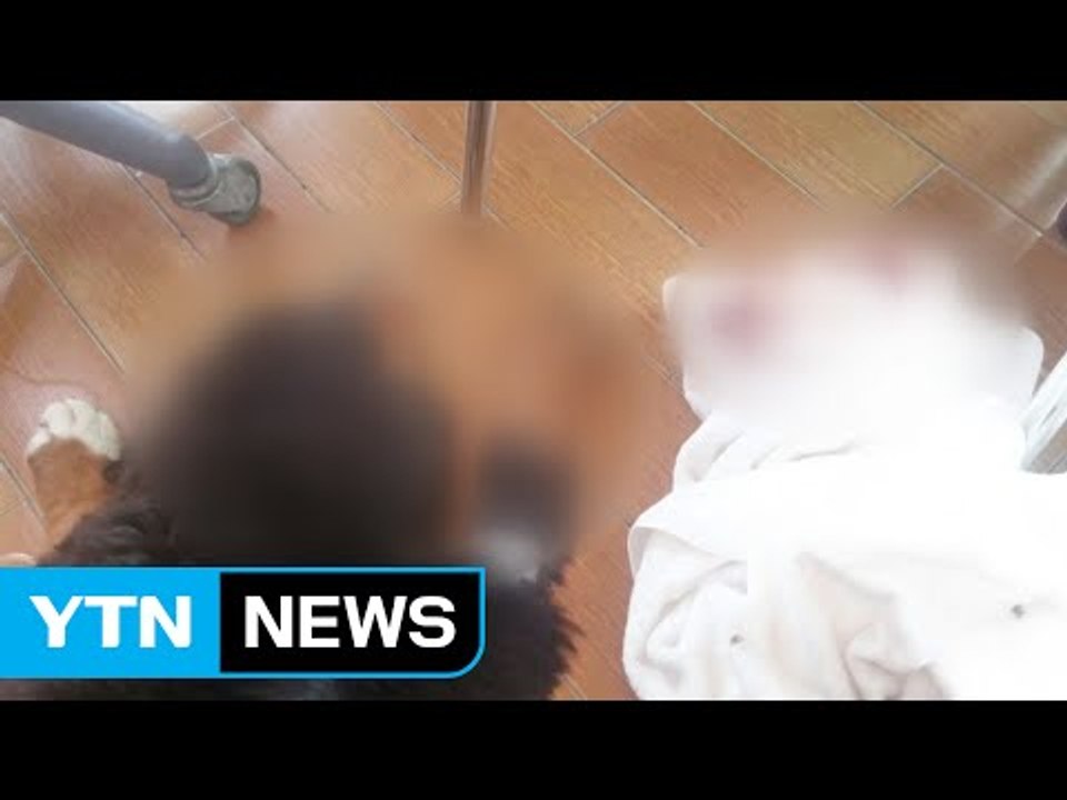 [YTN 실시간뉴스] 대형견 4마리 잇단 독살...'이웃 갈등' 수사  / YTN (...