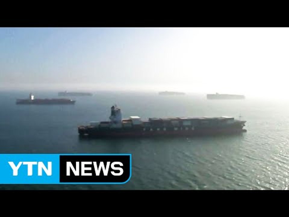 선박 60척 묶여...법원 "하역 업체에 현금 우선 지급" / YTN (Yes! Top News)