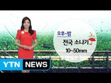 [날씨] 다시 선선한 초가을 날씨...오후에 소나기 / YTN (Yes! Top News)