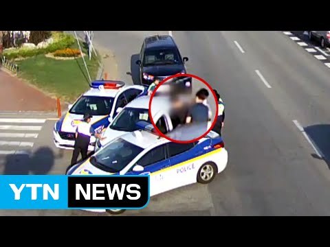 [영상] 승용차 털다 경찰과 추격전 끝 덜미 / YTN (Yes! Top News)