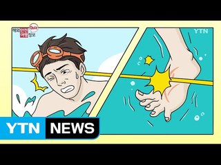 태국 독성 해파리 주의 / YTN (Yes! Top News)
