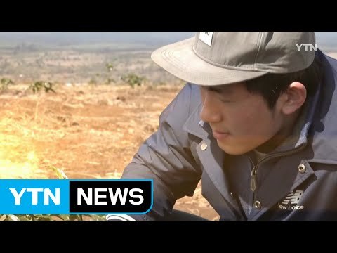 [청춘, 세계로 가다] 아프리카 배우러 케냐에 간 대학생 / YTN (Yes! Top News)