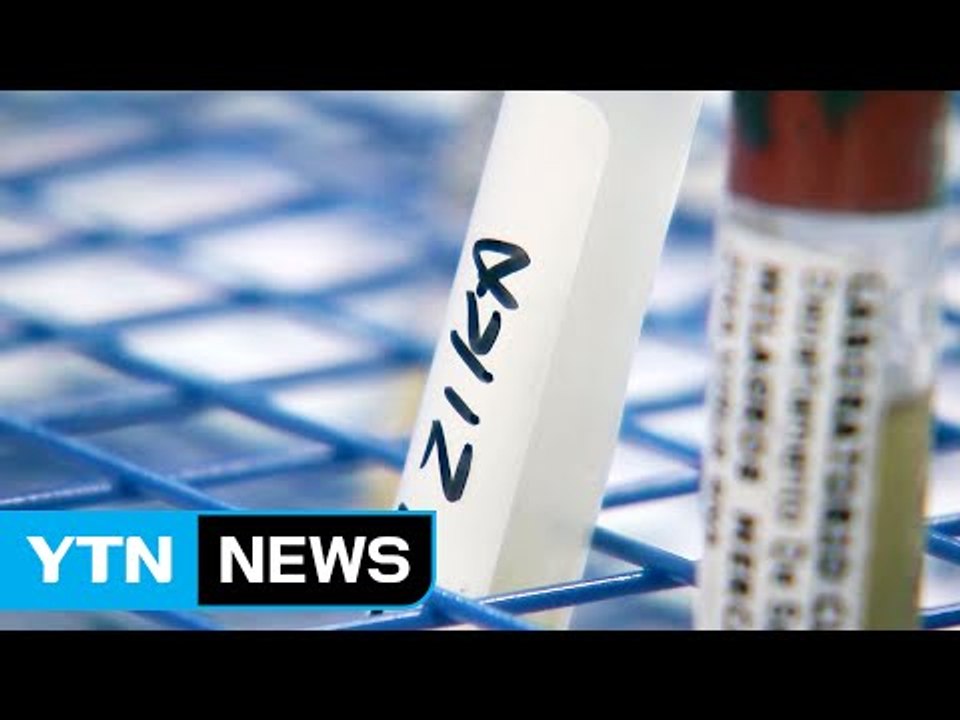 美 플로리다, 지카 보균 모기 서식  확인 / YTN (Yes! Top News)