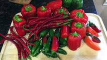 How To - Fermented Hot Sauce Recipe