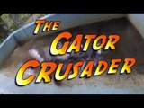 Gator Crusader Uses Animal Behavior to Predict Weather Forecast