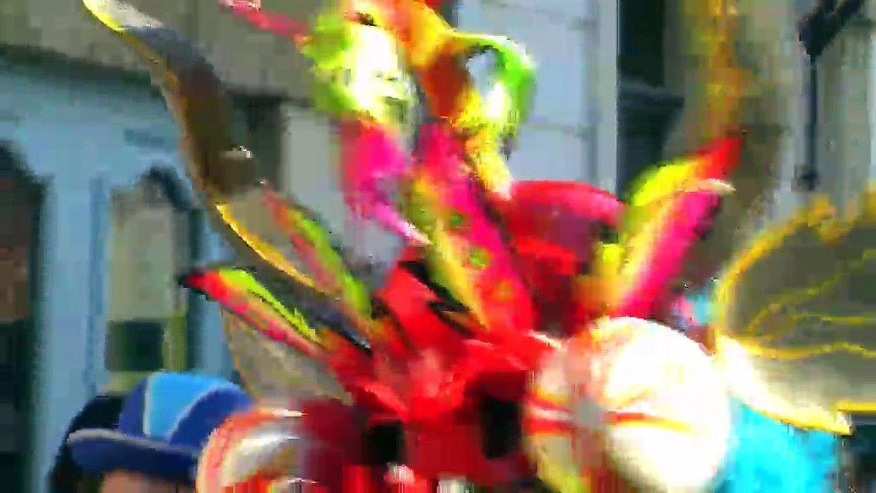 Tous les groupes ont défilé de l'Ile au Jardin de Ferrières