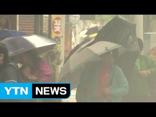 태풍 수증기에 영남 290mm 물 폭탄...또 빗나간 예보 / YTN (Yes! Top News)