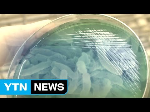 부산 콜레라 환자, 해외에서 감염 가능성...분석 주력 / YTN (Yes! Top News)