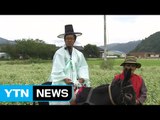 평창 메밀꽃 만발...가을 정취 물씬 / YTN (Yes! Top News)