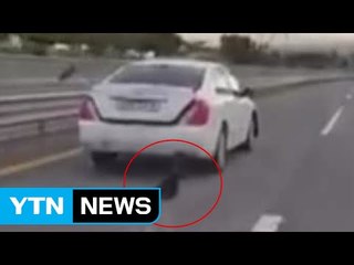 개 매달고 질주한 50대 운전자 경찰 조사 / YTN (Yes! Top News)