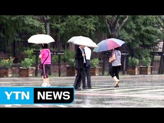 태풍 수증기에 영남 290mm 물 폭탄...또 빗나간 예보 / YTN (Yes! Top News)
