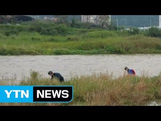강물에 휩쓸려 실종된 20대 숨진 채 발견 / YTN (Yes! Top News)