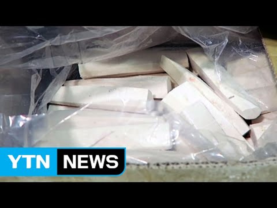 식용 금지된 왁스 원료 '기름치', 메로구이로 둔갑 판매 / YTN (Yes! Top...