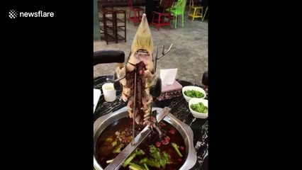 Dissected fish hanging above hot pot still moves