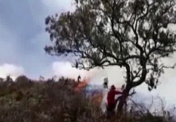 Gran cantidad de hectáreas de arroz se perdieron por un incendio en el Azuay