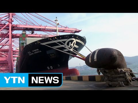 내일 대체 선박 출항...업계 피해 증가 / YTN (Yes! Top News)