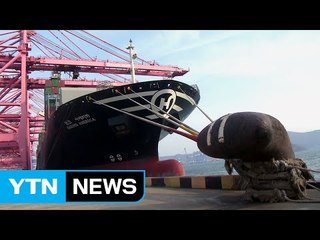 내일 대체 선박 출항...업계 피해 증가 / YTN (Yes! Top News)