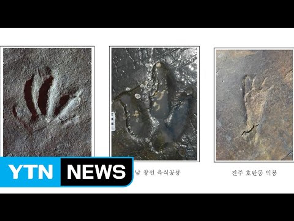 1억 년 전 도마뱀 발자국 화석 세계 첫 발견...의문점 풀렸다 / YTN (Yes!...