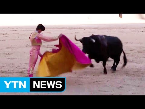 투우는 국가적 수치 스페인 투우 금지 촉구 시위 / YTN (Yes! Top News)