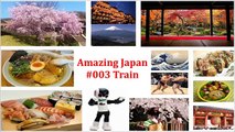 Amazing Japan #003 Densha - Japanese local train - 日本の電車
