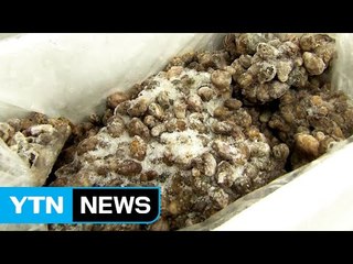 "추석 때 비싸게 팔려고"...유통기한 4년 넘긴 수산물 유통 / YTN (Yes! Top News)