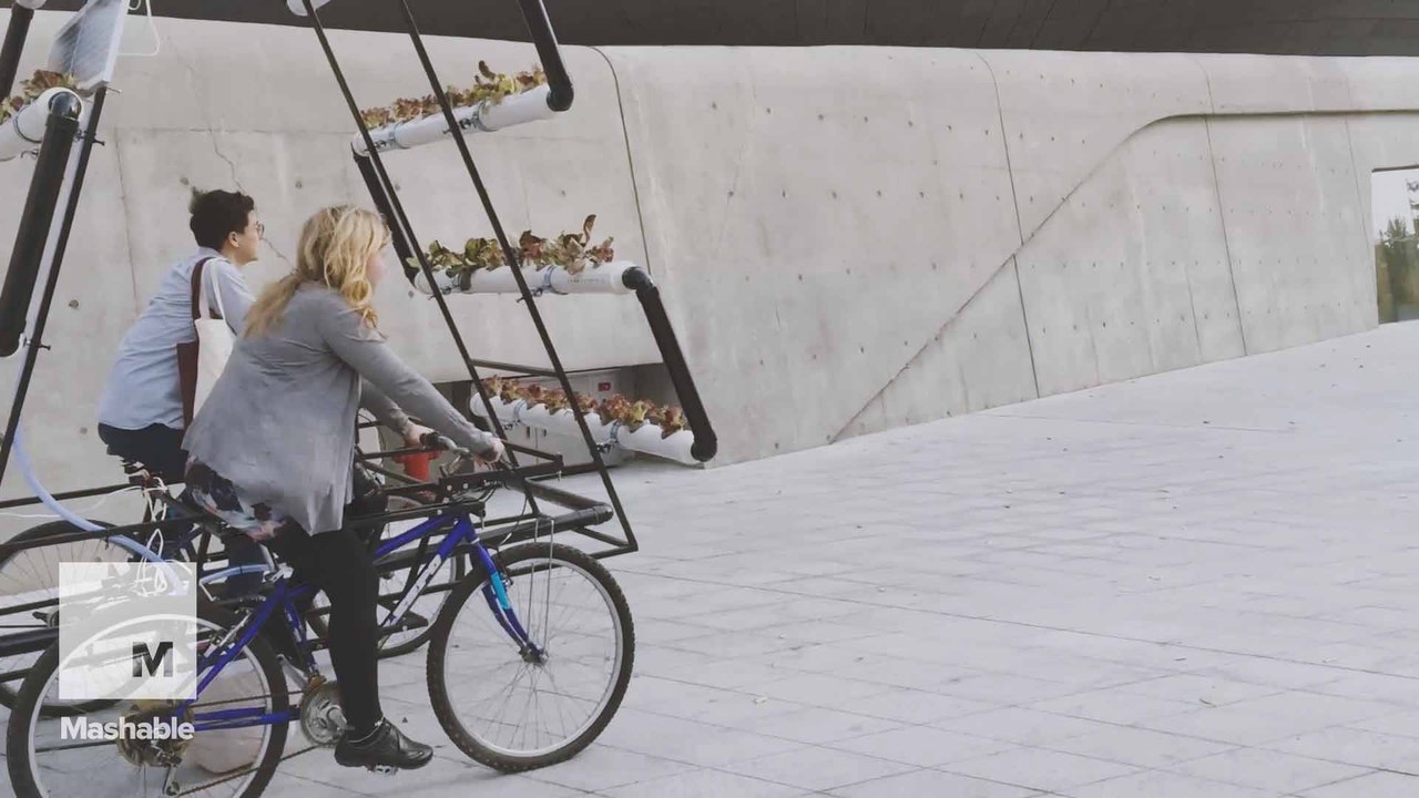 This mobile garden grows on top of your bicycle
