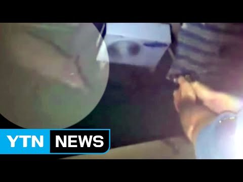 야간에 부산 도심 멧돼지 출몰...야산 도주 / YTN (Yes! Top News)