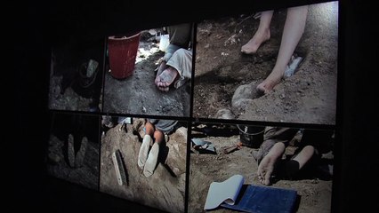 Lucienne Del Furia : Conservatrice du musée Ziem