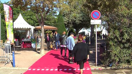 Les réactions de visiteurs et les précisions de Lisa Ferrieres