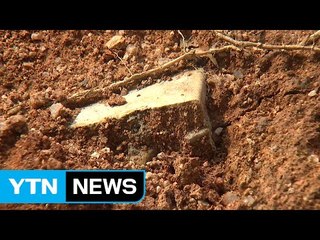 "연고자 동의 없이 묘지 13기 파헤쳐"...수사 착수 / YTN (Yes! Top News)