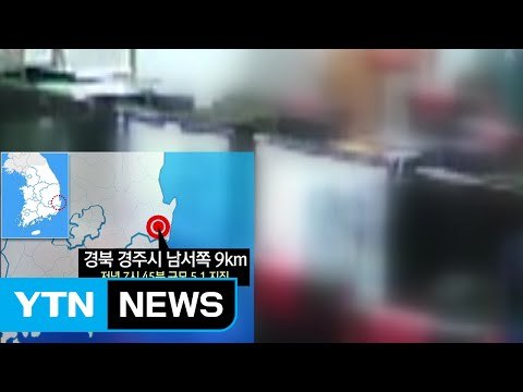 '규모 5.8' 한반도 역대 최대 규모 지진 발생 / YTN (Yes! Top News)