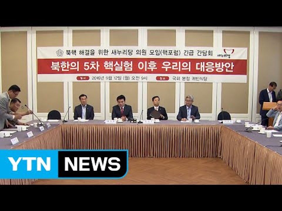 핵포럼 "국회 북핵특위 신설 제안"...핵무장론 공론화 / YTN (Yes! Top News)