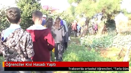 Öğrenciler Kivi Hasadı Yaptı