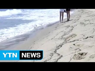 개미떼의 이동, 정체 모를 악취...다시 떠도는 지진 괴담 / YTN (Yes! Top News)