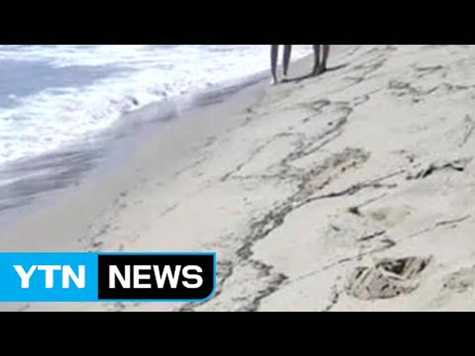 '개미떼· 악취' 다시 유포...지진 충격에 떠 도는 괴담 / YTN (Yes! To...