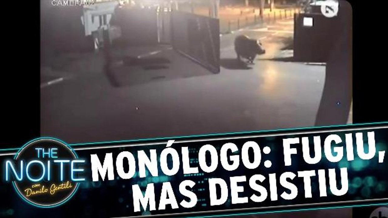 Monólogo: Hipopótamo foge, mas desisti ao encontrar o mundo real