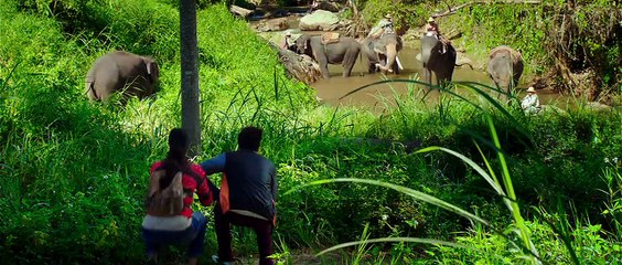 Full Movie 2017 videos - dailymotion