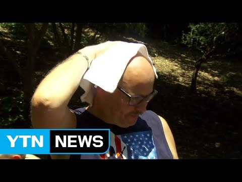 올해 7·8월 지구 온도, 관측 사상 최고 / YTN (Yes! Top News)