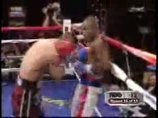 JOAN GUZMAN little tyson