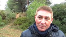 Didier Couret, responsable forestier du service des espaces verts