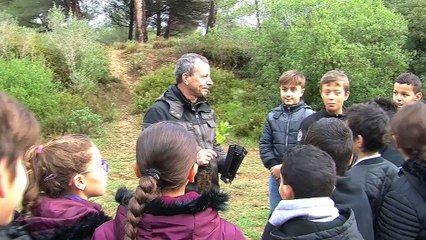 Quelques images des enfants plantant les arbres
