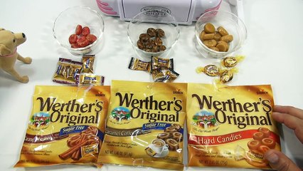Butch Gets a Present! Cotton Candy Wonka Nerds, Werthers, Nostalgia Electrics Kit