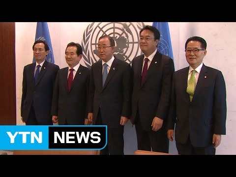 반기문 내년 1월 중순 전에 귀국...대통령 등 만날 것 / YTN (Yes! Top News)