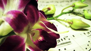 Romantic Piano Music: Sweet Music Solo Piano, Music for Lovers and Piano Bar