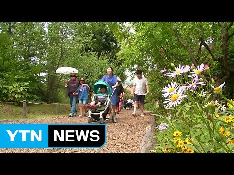 긴 닷새 연휴...가족과 함께 '추석 나들이' / YTN (Yes! Top News)