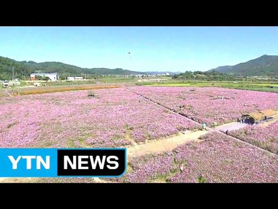 [날씨] 청명하고 선선한 가을...영남 해안 강풍주의보 / YTN (Yes! Top...