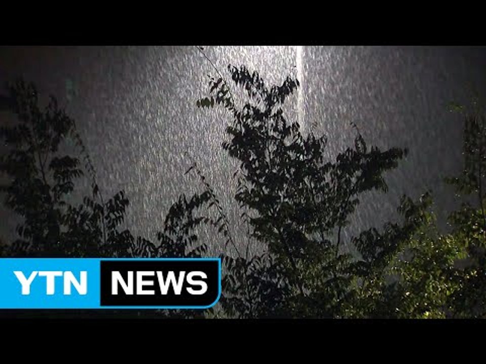 남부지방 호우 예보...부산 낮부터 많은 비 / YTN (Yes! Top News)
