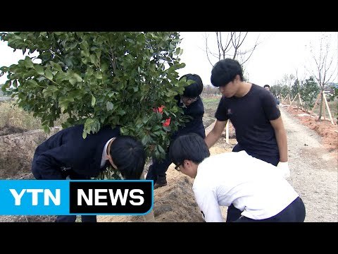 청년이 돌아오는 전남, 일자리 창출 대상 / YTN (Yes! Top News)