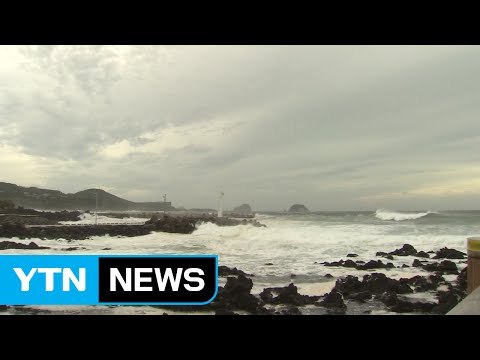 태풍 영향...전남 지역엔 곳곳에 침수 발생 / YTN (Yes! Top News)
